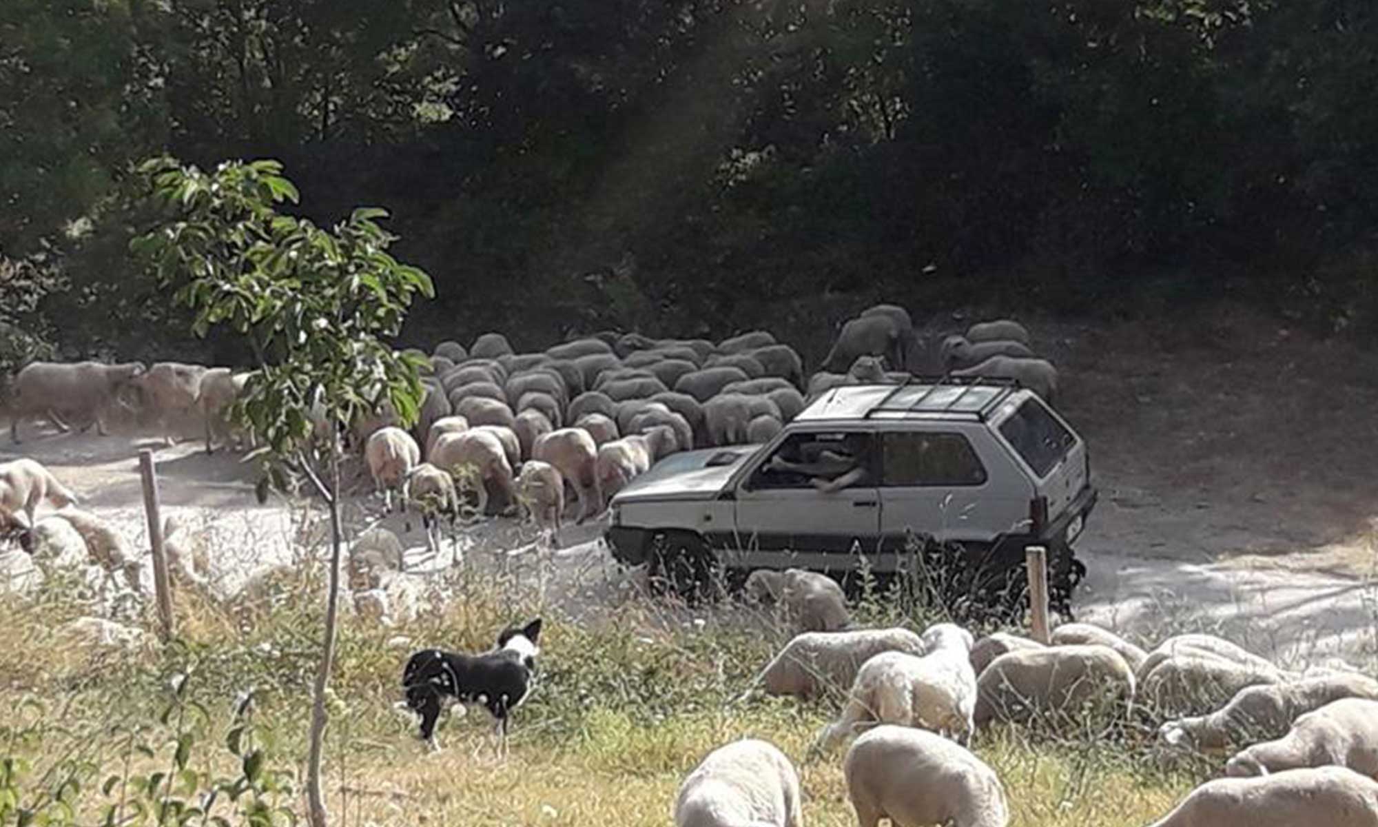 Augsburg Roberto Mendori Produkte aus Italien