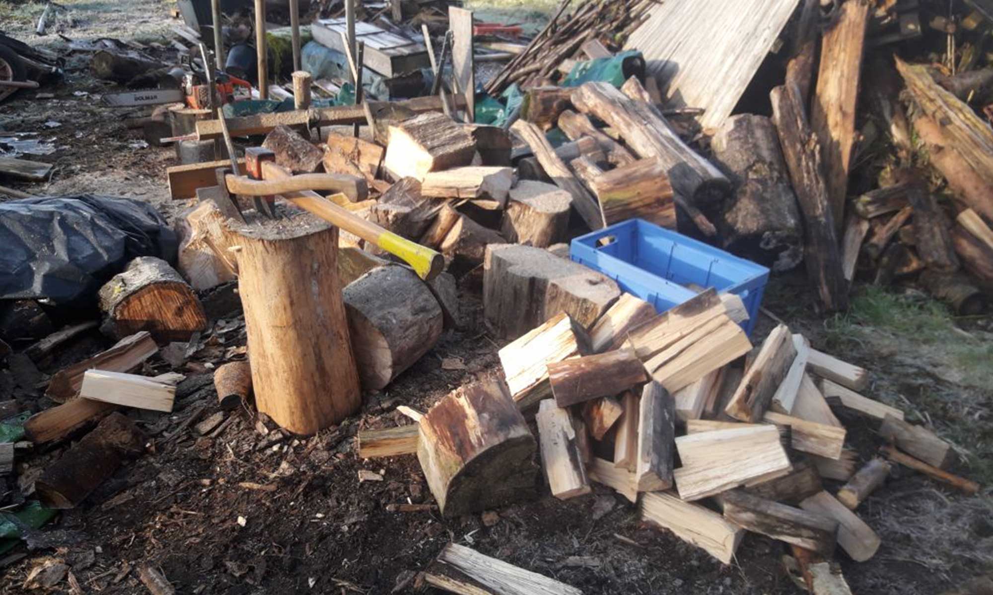 Dienstleistungen Roberto Medori